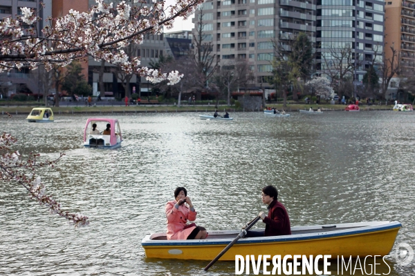 Tokyo: Vie quotidienne