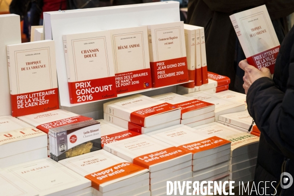 Livre Paris 2017, le salon du livre de Paris.