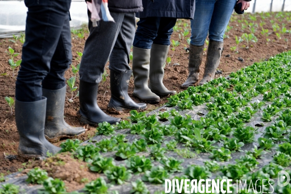 Déplacement de Jean Luc Melenchon sur le thème de l agriculture