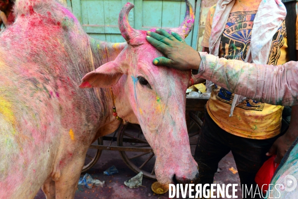 Holi, La Fête Sacré des Couleurs en Inde. Holi Festival of Colors and Love in India.