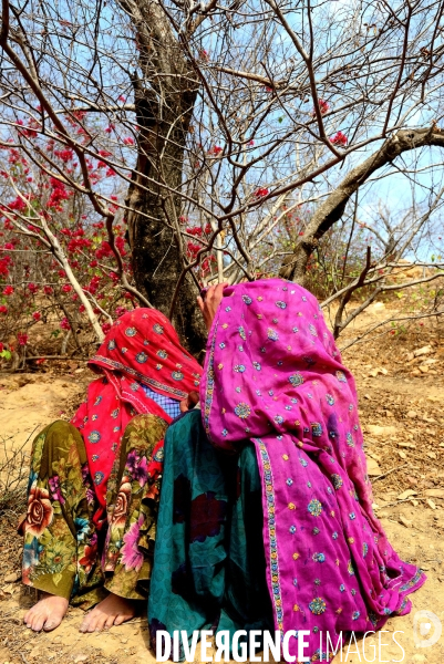 Holi, La Fête Sacré des Couleurs en Inde. Holi Festival of Colors and Love in India.