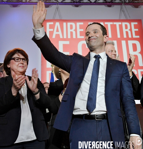 Meeting de Benoit Hamon à Lille