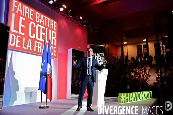 Meeting de Benoit Hamon à Lille