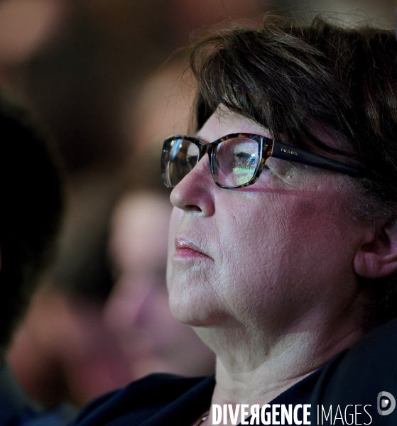 Meeting de Benoit Hamon à Lille