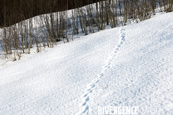 Bienvenue à Arêches-Beaufort