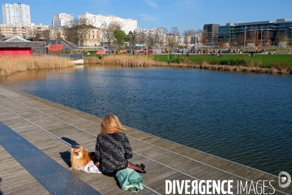 Illustration Mars2017.Une femme et son chien au grand Parc