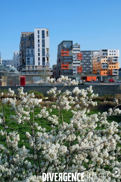 Illustration Mars2017.Le grand Parc et l eco-quartier des Docks a Saint Ouen