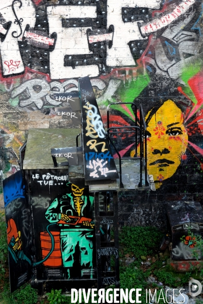 Illustration Mars2017.Tag et street art sur un mur de la petite ceinture; le petrole tue