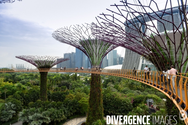 Singapour