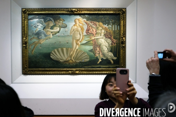 Florence.Devant la naissance de Venus, le tableau de Botticelli a la galerie des Offices