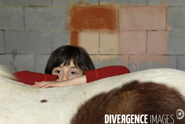 L enfant et les animaux : chevaux et poneys.