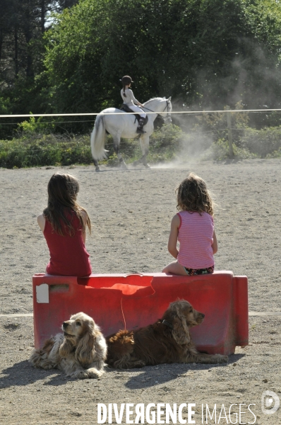 L enfant et les animaux : chevaux et poneys.