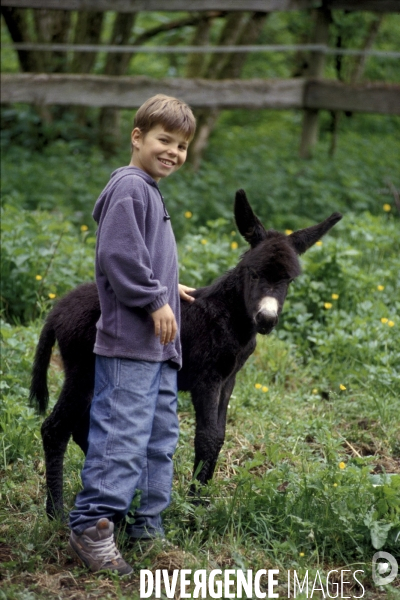 L enfant et les animaux : chevaux et poneys.