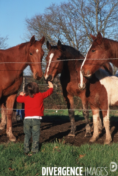 L enfant et les animaux : chevaux et poneys.