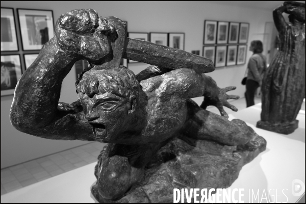 Musee Camille Claudel a Nogent sur Seine