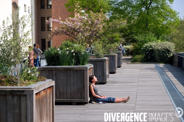 Une jeune femme prend un bain de soleil sur la coulee verte Rene Dumont, une high line parisienne