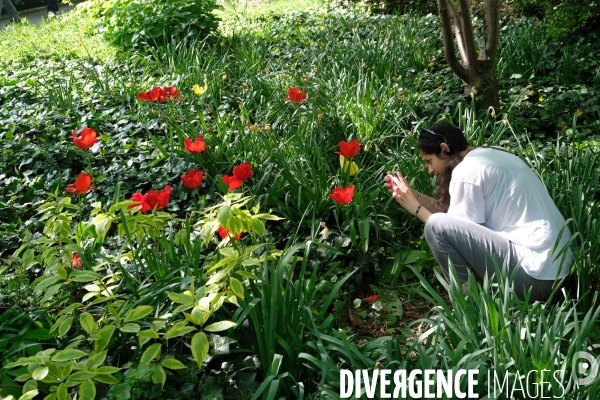 La coulee verte Rene Dumont, une high line parisienne