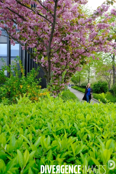 La coulee verte Rene Dumont, une high line parisienne