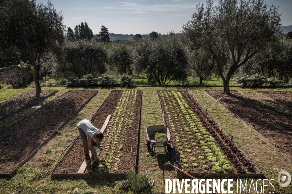 Jardiniers Compagnons du Devoir et du Tour de France - Saint Jacques du Couloubrier