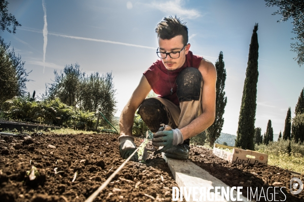 Jardiniers Compagnons du Devoir et du Tour de France - Saint Jacques du Couloubrier