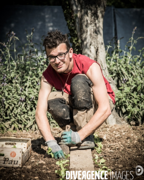 Jardiniers Compagnons du Devoir et du Tour de France - Saint Jacques du Couloubrier