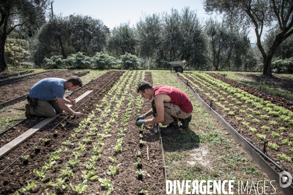 Jardiniers Compagnons du Devoir et du Tour de France - Saint Jacques du Couloubrier