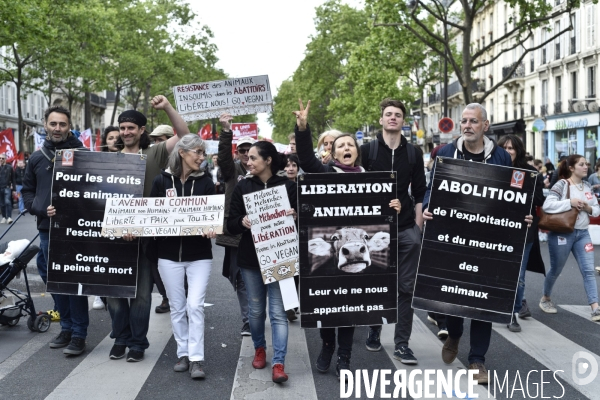 1er mai à Paris. Mobilisation contre le Front National.