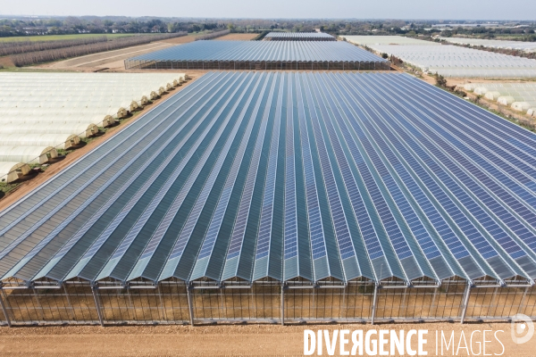 Vue aerienne de centrales solaires parking serre et bâtiment