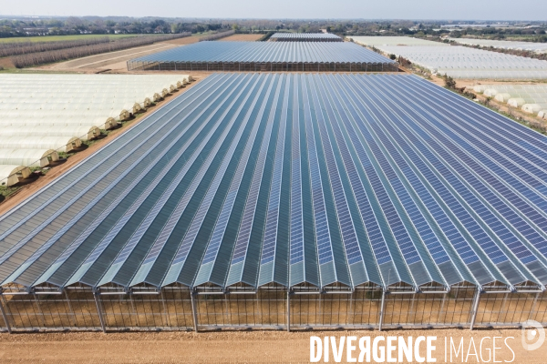 Vue aerienne de centrales solaires parking serre et bâtiment