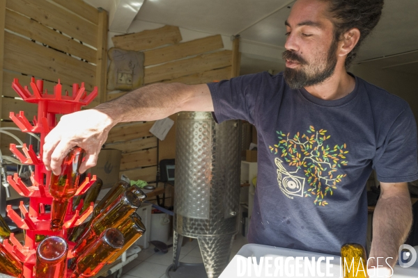 Petite Chronique d en Haut 2017: La Biere d ici..