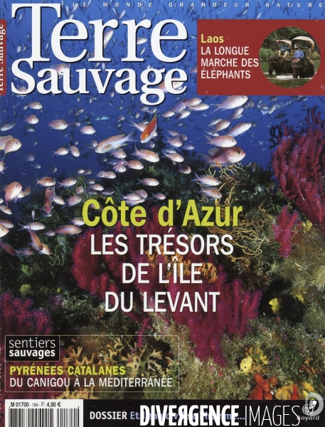 Terre sauvage