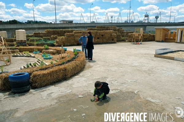 La Prairie du canal, une ferme urbaine ephemere, recreative et productive sur l ancien site de l usine Motobecane