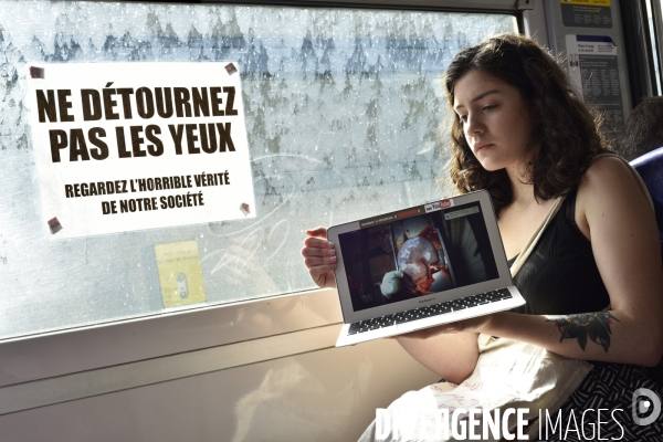 Action cause animale dans le métro. Sensibilisation à l aide de vidéos captées en abattoirs et élevages. Video of Truth on slaughterhouses and breeding.