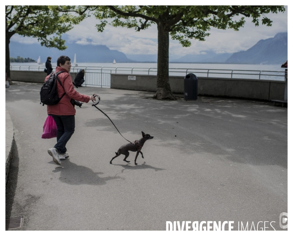 Riviera Vaudoise #2