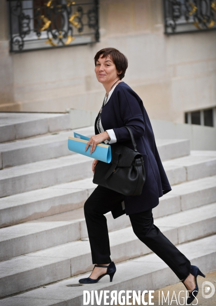Premier conseil des ministres du gouvernement d Edouard Philippe