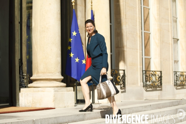 Conseil des ministres 31 mai 2017