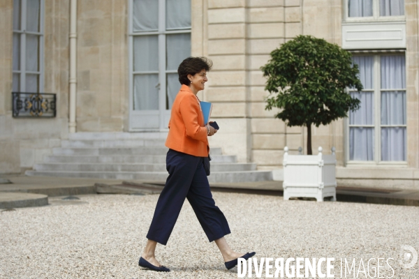 Conseil des ministres 31 mai 2017