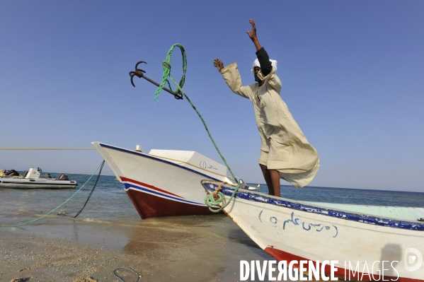 EGYPTE : Les ABABDA, tribu Bédouine du SINAI et de la Mer Rouge.