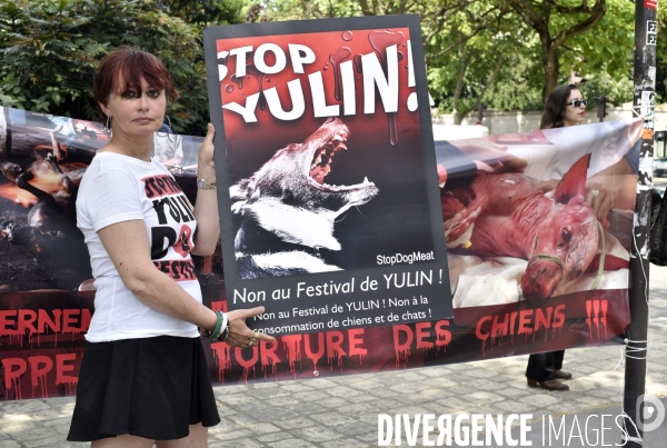 Action Cause animale contre le Festival de YULIN en Chine. Mobilization against YULIN Festival in China.