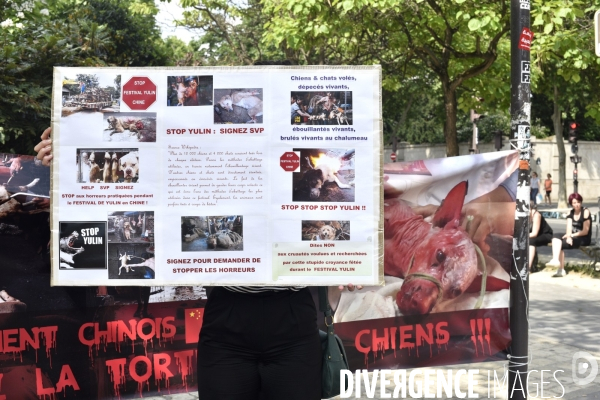 Action Cause animale contre le Festival de YULIN en Chine. Mobilization against YULIN Festival in China.