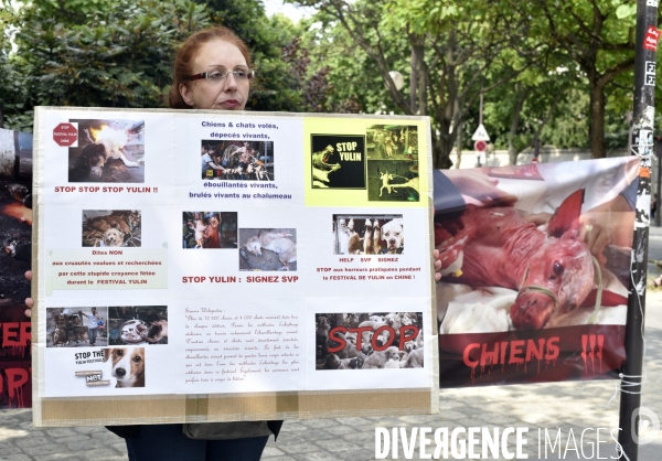 Action Cause animale contre le Festival de YULIN en Chine. Mobilization against YULIN Festival in China.