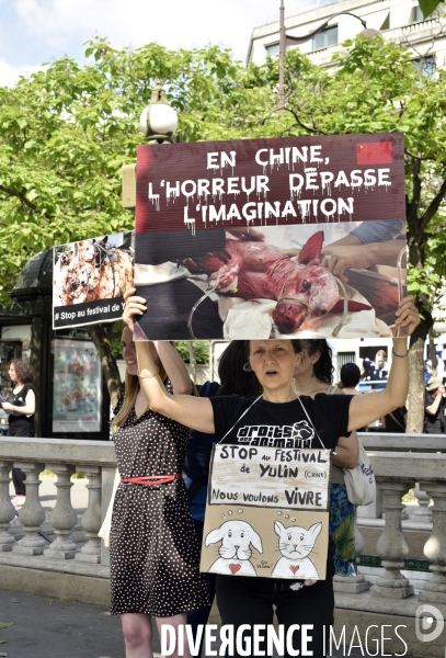 Action Cause animale contre le Festival de YULIN en Chine. Mobilization against YULIN Festival in China.