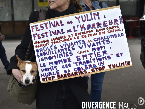 Action Cause animale contre le Festival de YULIN en Chine. Mobilization against YULIN Festival in China.