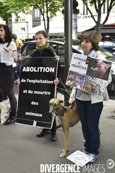 Action Cause animale contre le Festival de YULIN en Chine. Mobilization against YULIN Festival in China.