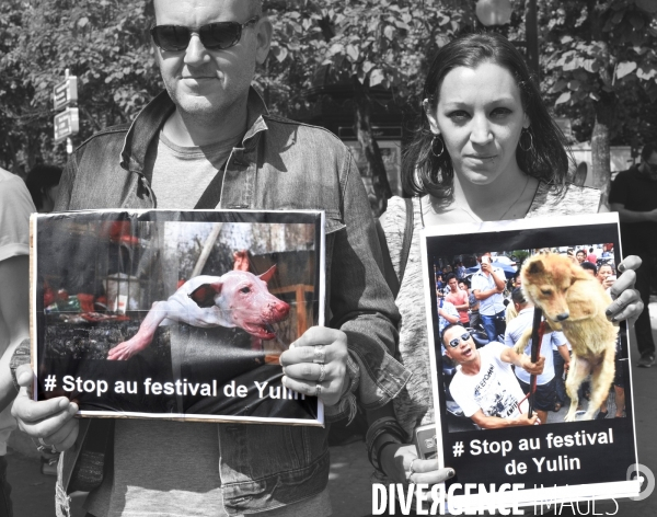 Action Cause animale contre le Festival de YULIN en Chine. Mobilization against YULIN Festival in China.