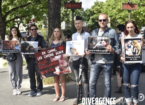 Action Cause animale contre le Festival de YULIN en Chine. Mobilization against YULIN Festival in China.