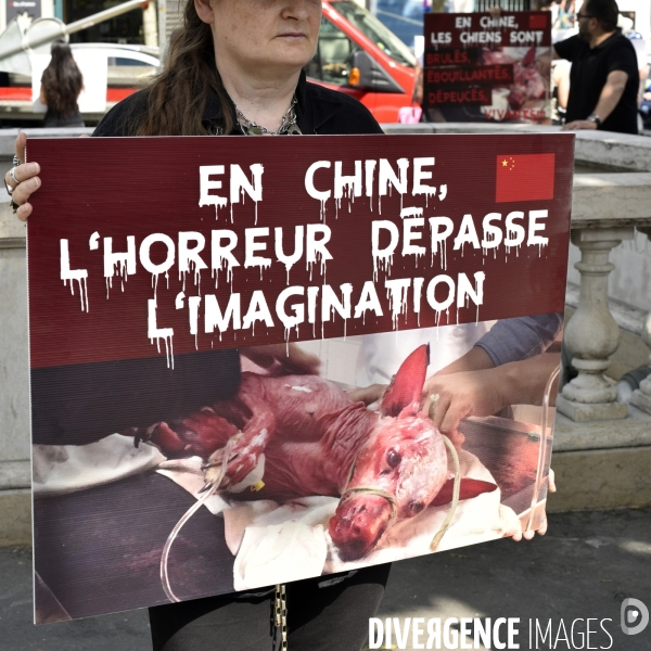 Action Cause animale contre le Festival de YULIN en Chine. Mobilization against YULIN Festival in China.