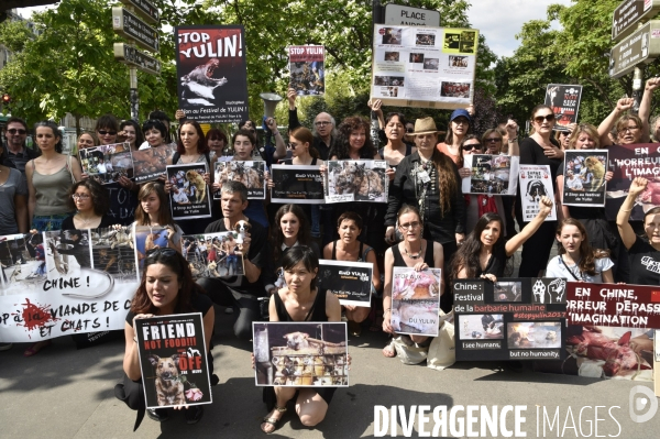 Action Cause animale contre le Festival de YULIN en Chine. Mobilization against YULIN Festival in China.