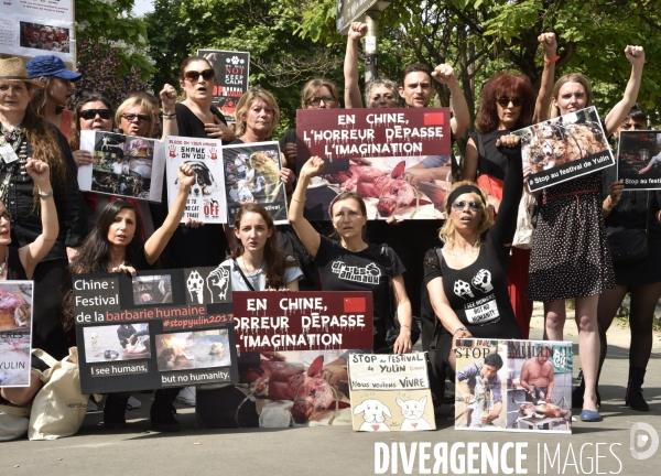 Action Cause animale contre le Festival de YULIN en Chine. Mobilization against YULIN Festival in China.