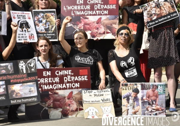 Action Cause animale contre le Festival de YULIN en Chine. Mobilization against YULIN Festival in China.